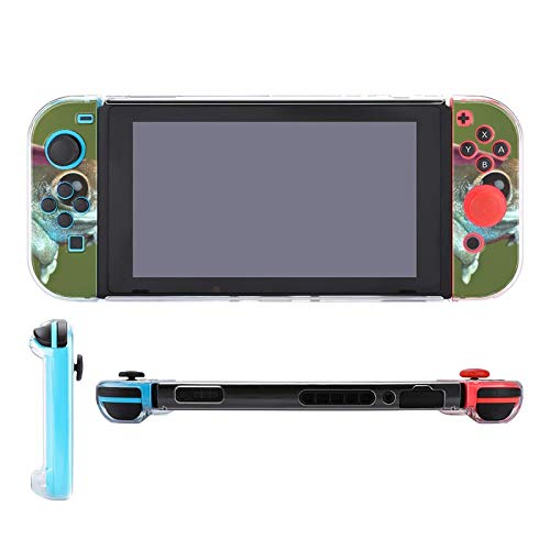 Калъф за Nintendo Switch жаби и стотици, Набор от пет предмети, Защитен Калъф, Аксесоари за Игралната конзола Switch